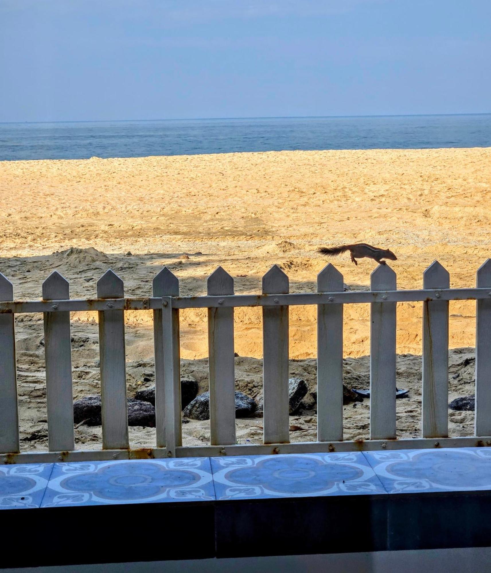 Ether Marari Beachfront Mararikulam Ngoại thất bức ảnh